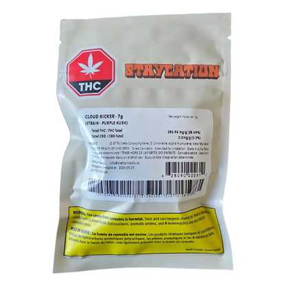 Staycation 7 g Cloud Kicker Flower