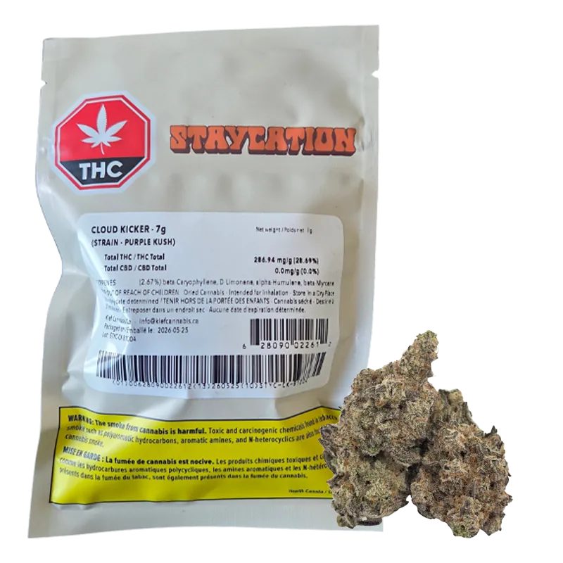 Staycation 7 g Cloud Kicker Flower