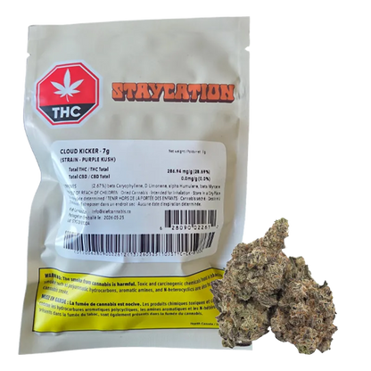 Staycation 7 g Cloud Kicker Flower