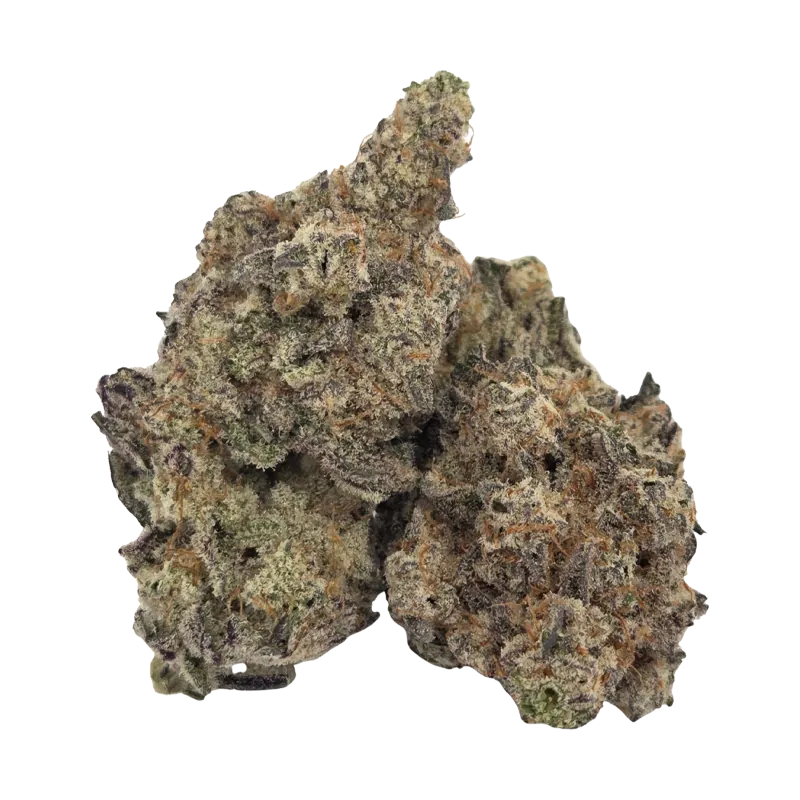 Staycation 7 g Cloud Kicker Flower
