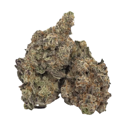 Staycation 7 g Cloud Kicker Flower