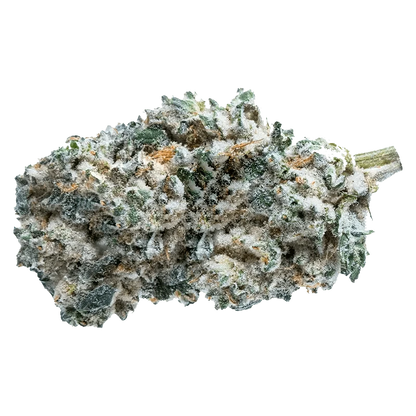 Close-up view of the Kush Breath bud, showcasing its dense, textured surface and vibrant green hues.