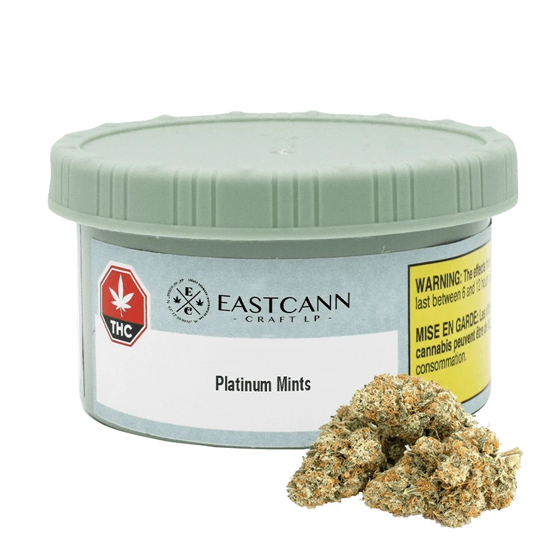 Front-facing shot of the Eastcann Craft LP Platinum Mints tin with a pale green lid and two frosty buds at its base