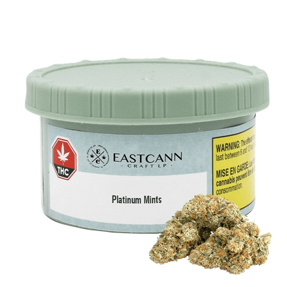 Front-facing shot of the Eastcann Craft LP Platinum Mints tin with a pale green lid and two frosty buds at its base