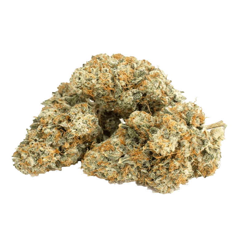 Close-up of a small pile of Platinum Mints cannabis buds photographed against a white background, showing frosty trichomes and orange hairs.