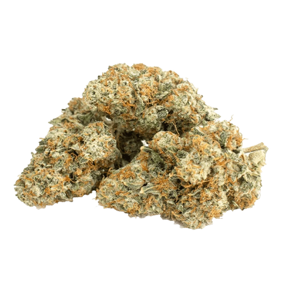 Close-up of a small pile of Platinum Mints cannabis buds photographed against a white background, showing frosty trichomes and orange hairs.