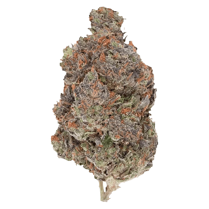 A close-up view of the Diablo, showcasing a textured, detailed surface against a plain white background.