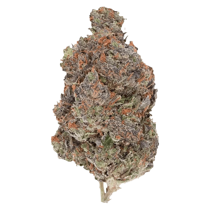 A close-up view of the Diablo, showcasing a textured, detailed surface against a plain white background.