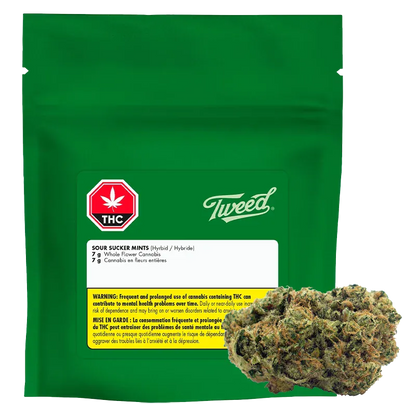 Green resealable pouch seen from the front with a white label and a cannabis bud beside it, showing the Tweed Sour Sucker Mints branding.