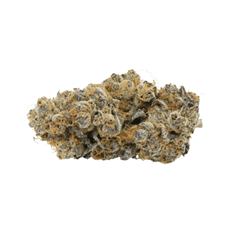 Close-up of the Royal Sherb strain exhibiting dense, frosty buds against a plain white background.