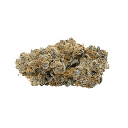 Close-up of the Royal Sherb strain exhibiting dense, frosty buds against a plain white background.