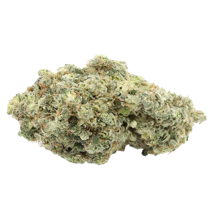 Close-up front view of the frosty green and amber bud of "Ruby Haze" against a clean white background.