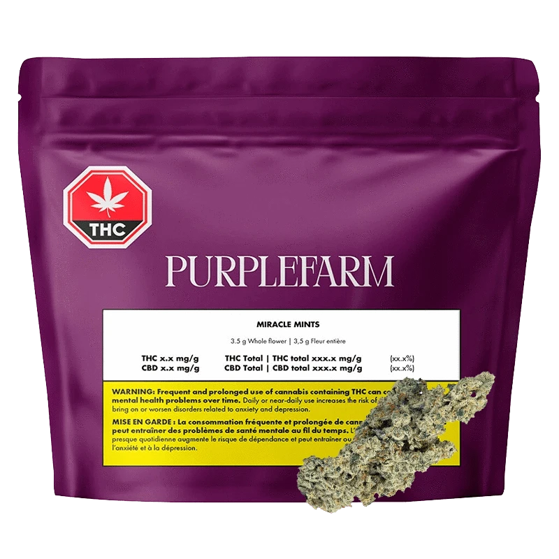 Purplefarm Miracle Mints packaging with a black background, displaying product details and a THC logo.