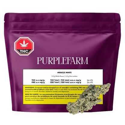 Purplefarm Miracle Mints packaging with a black background, displaying product details and a THC logo.