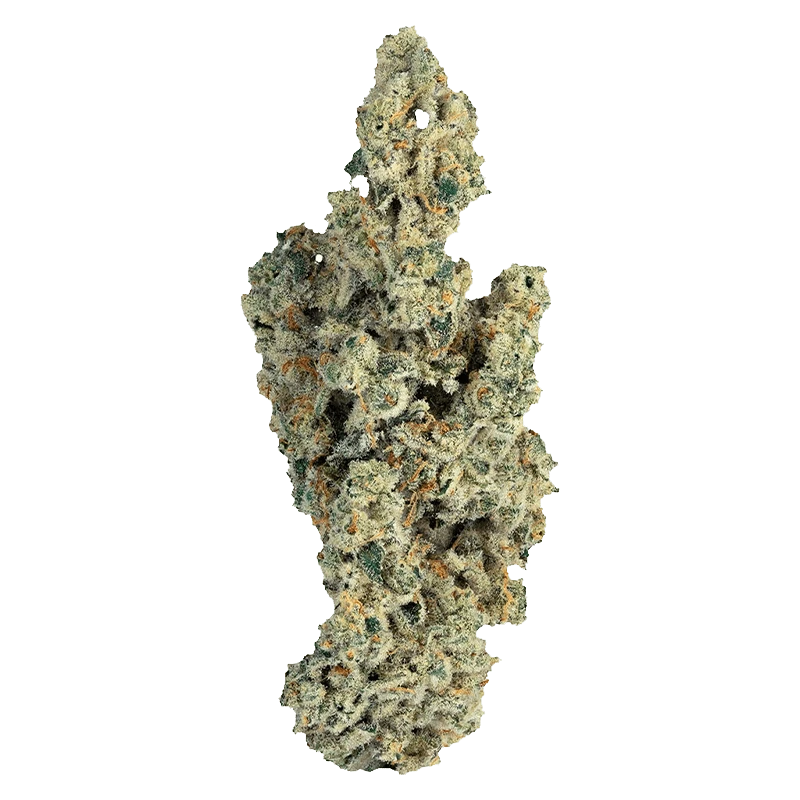 A close-up view of the Miracle Mints, highlighting the textured, organic shape of the mints against a plain white background.