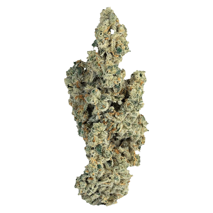 A close-up view of the Miracle Mints, highlighting the textured, organic shape of the mints against a plain white background.