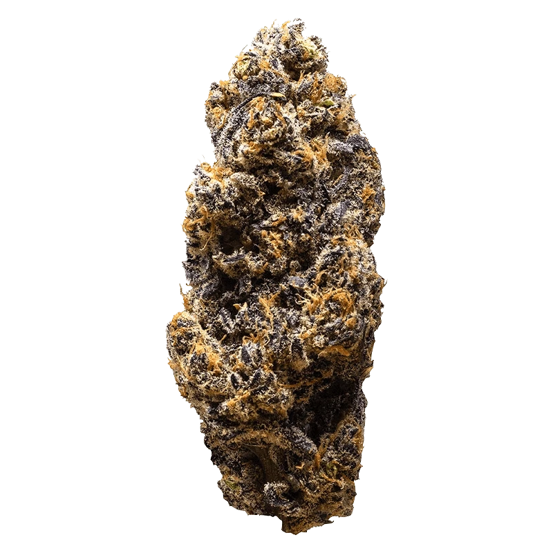 Frozen Cola presents a close-up, angled view of a textured, frosty surface resembling crystallized cola, set against a plain white background.