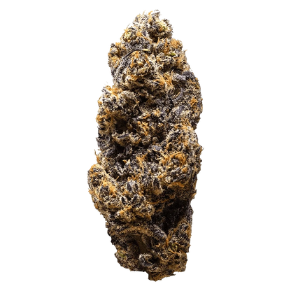 Frozen Cola presents a close-up, angled view of a textured, frosty surface resembling crystallized cola, set against a plain white background.