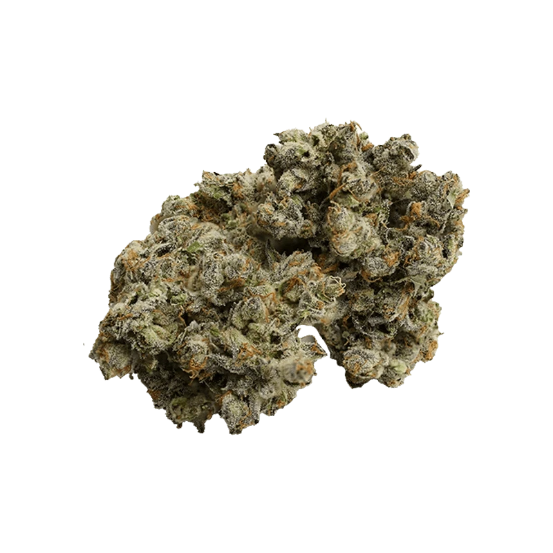 Close-up shot of the Tobas Sativa, featuring a textured surface and warm lighting against a plain white background.