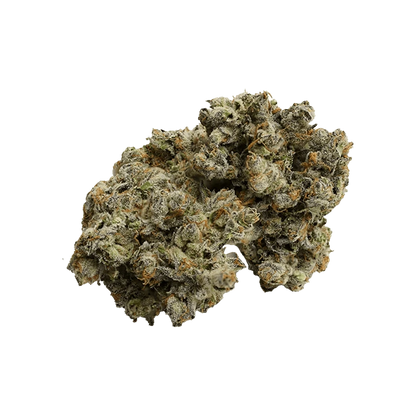 Close-up shot of the Tobas Sativa, featuring a textured surface and warm lighting against a plain white background.