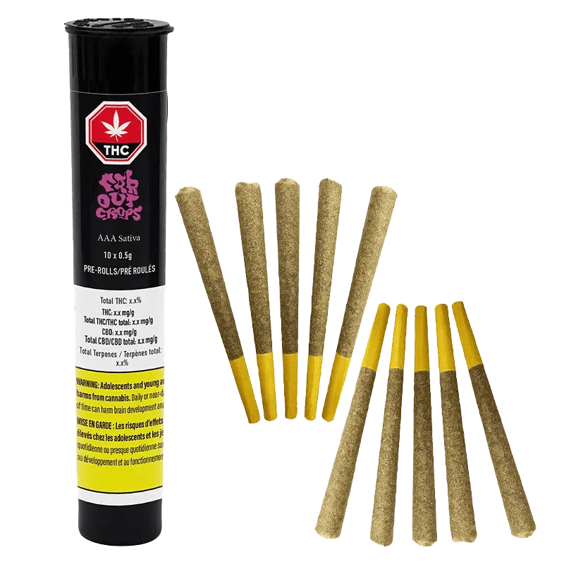 AAA Pre Rolled 10 x 0.5 g pre-rolls displayed in a close-up, showing the branded packaging and cylindrical roll shape.