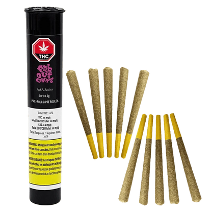 AAA Pre Rolled 10 x 0.5 g pre-rolls displayed in a close-up, showing the branded packaging and cylindrical roll shape.
