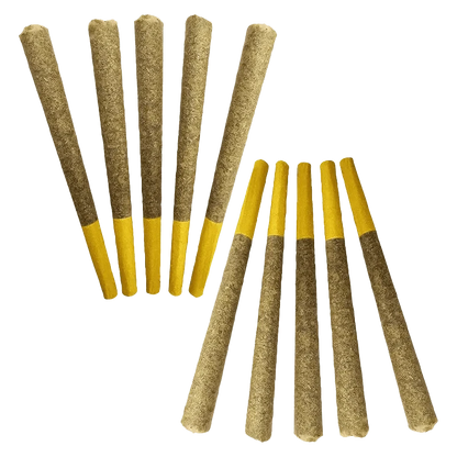 AAA Pre Rolled 10 x 0.5 g displayed in a clean, side-by-side arrangement against a neutral white background.