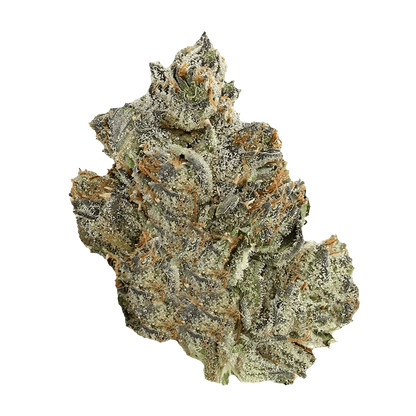 Close-up of the Pink Death, showcasing a textured, detailed surface against a plain white background.