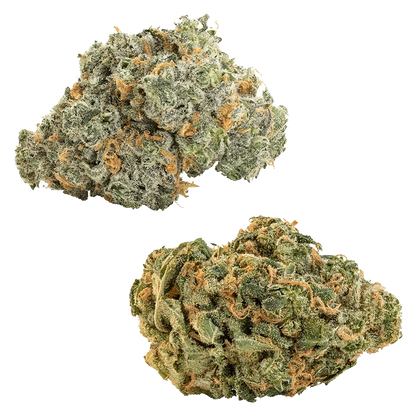 A close-up studio shot of the “Comboz: Ultra Sour + Blueberry Dream” product, featuring a small, colorful item against a plain white background.