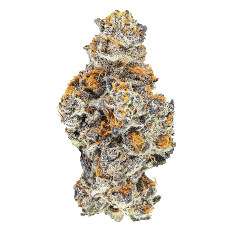 Close-up of the Exclusives - Pink Kitty with a textured surface and rounded form, captured in a bright, neutral setting.