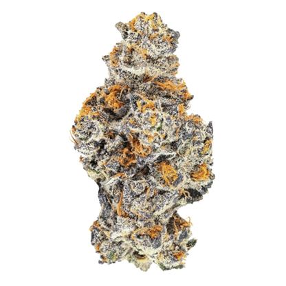 Close-up of the Exclusives - Pink Kitty with a textured surface and rounded form, captured in a bright, neutral setting.