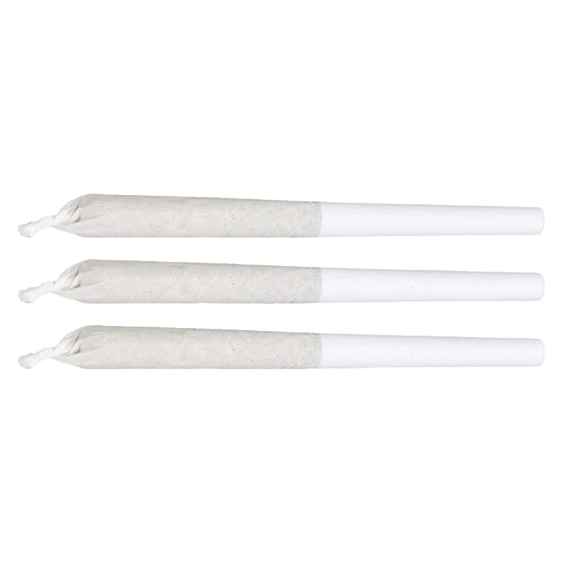 A close-up of three Summer Haze Pre Rolled 0.5 g pre-rolls, aligned horizontally against a plain white background.