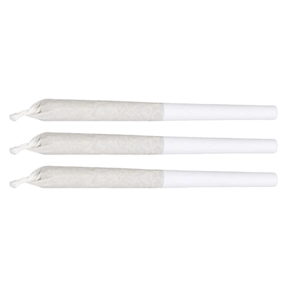 A close-up of three Summer Haze Pre Rolled 0.5 g pre-rolls, aligned horizontally against a plain white background.