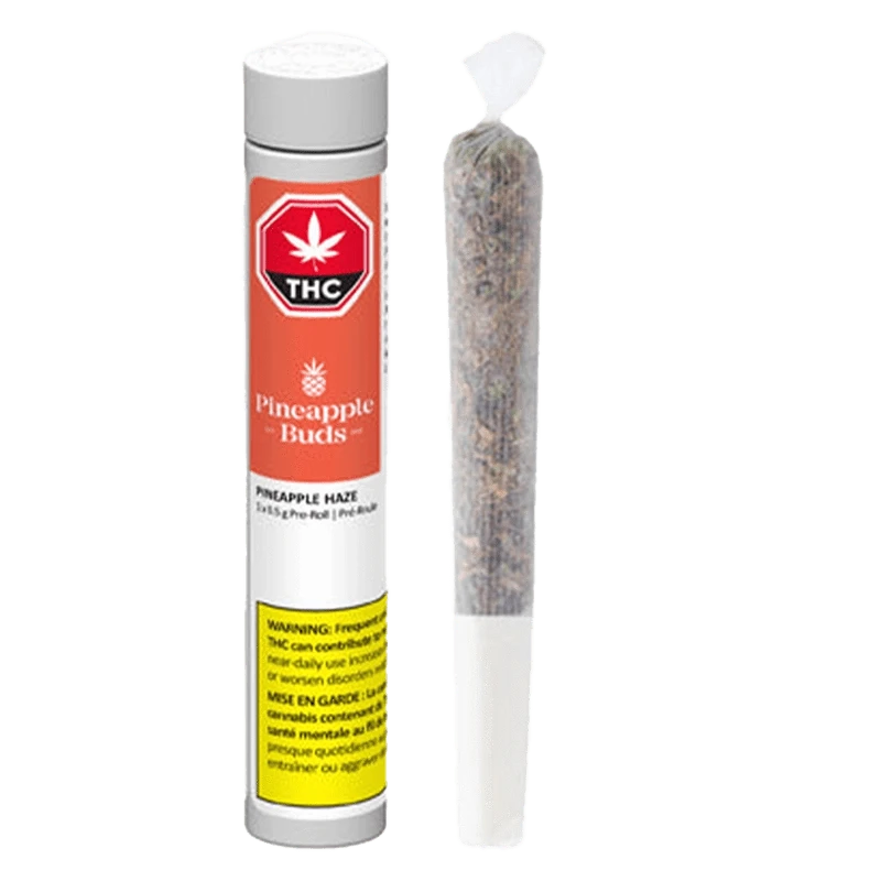 Front view of the Pineapple Haze Pre Rolled 1 x 0.5 g package, displaying branding and product details against a white background.