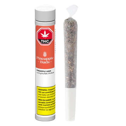 Front view of the Pineapple Haze Pre Rolled 1 x 0.5 g package, displaying branding and product details against a white background.