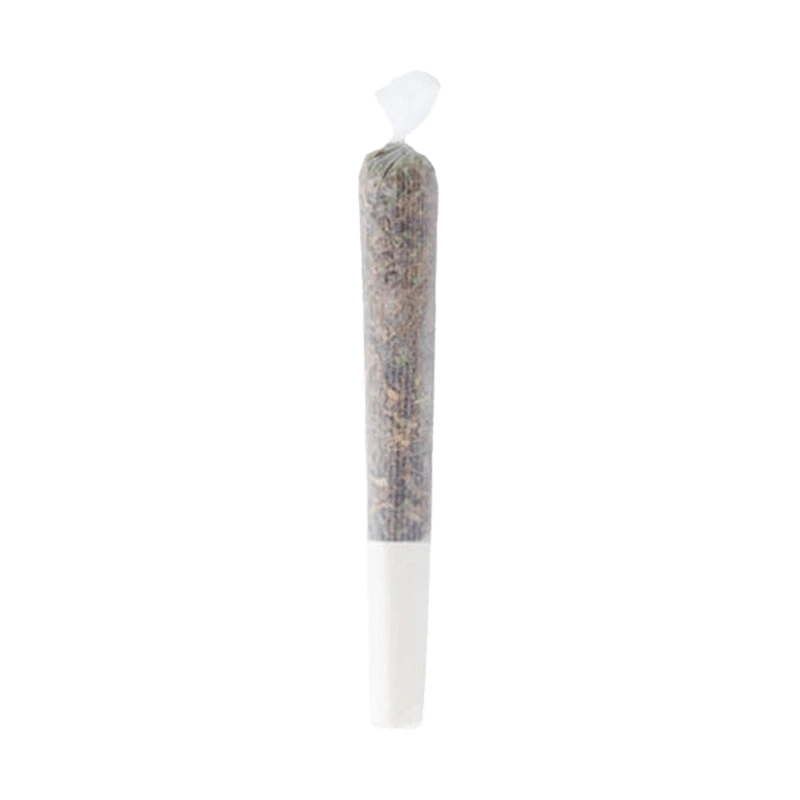 Close-up of the Pineapple Haze Pre Rolled 1 x 0.5 g joint, showing the rolled paper against a plain white background.