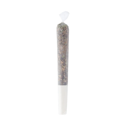 Close-up of the Pineapple Haze Pre Rolled 1 x 0.5 g joint, showing the rolled paper against a plain white background.