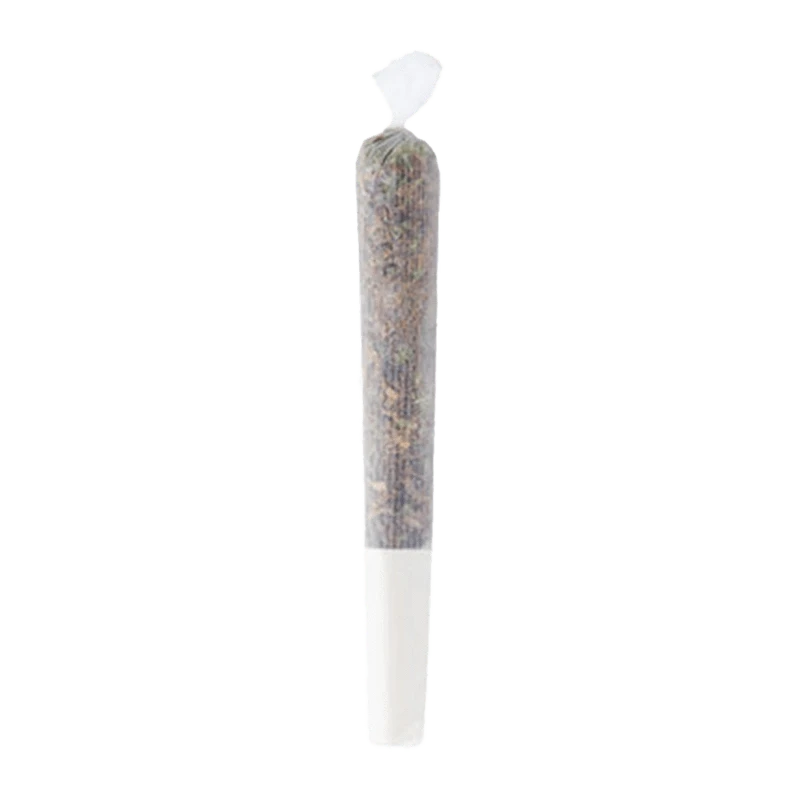 Close-up view of the Purple G*Shers Pre Rolled 1 x 0.5 g joint, showing its detailed form and texture against a plain white background.