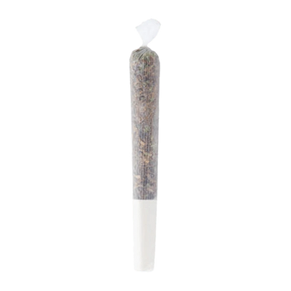 Close-up view of the Purple G*Shers Pre Rolled 1 x 0.5 g joint, showing its detailed form and texture against a plain white background.
