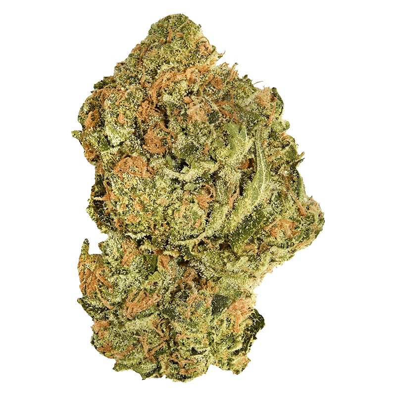 A close-up shot of the Brand New Buds, showing a dense, textured surface with varied light and shadow.