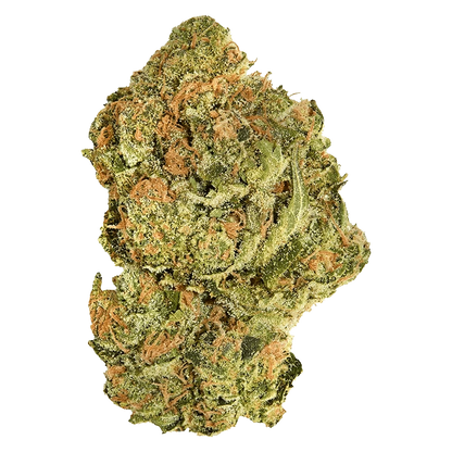 A close-up shot of the Brand New Buds, showing a dense, textured surface with varied light and shadow.