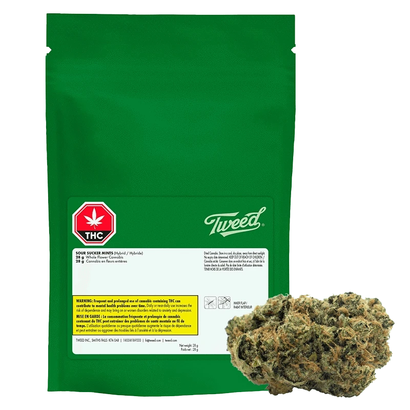 Sour Sucker Mints: Lowest Price | Canna Cabana