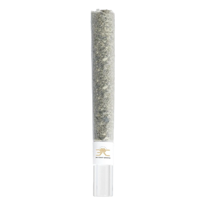 Front view of the Frozen Cola Glass Tip Pre Rolled 1 x 1 g, a clear glass filter tip with a frosted appearance.