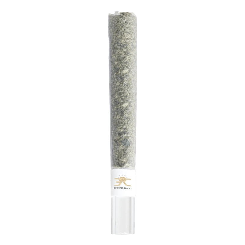 Front view of the Black Truffle Glass Tip Pre Rolled 1 x 1 g, a clear glass tip with a textured, cylindrical design.