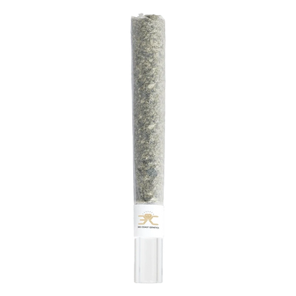 Front view of the Black Truffle Glass Tip Pre Rolled 1 x 1 g, a clear glass tip with a textured, cylindrical design.