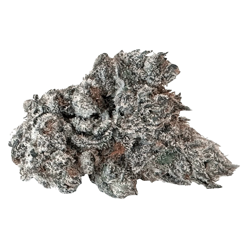 A close-up of the 91 Ox, showcasing its textured surface and unique organic shape against a plain white background.