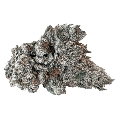 A close-up of the 91 Ox, showcasing its textured surface and unique organic shape against a plain white background.