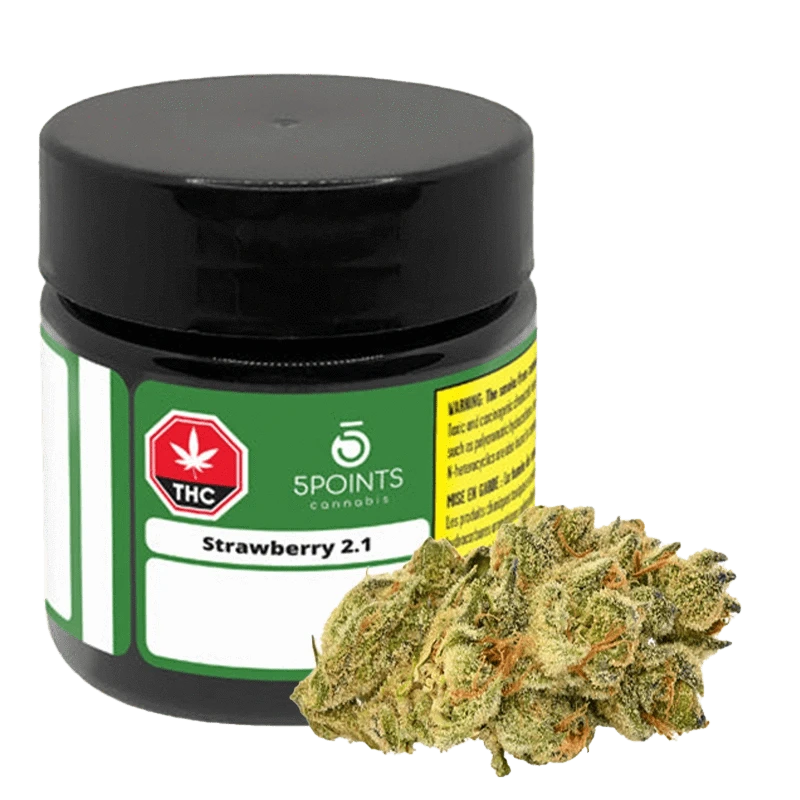 Close-up of the Strawberry 2.1 cannabis flower, showcasing its vibrant green and orange hues against a neutral background.