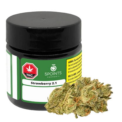 Close-up of the Strawberry 2.1 cannabis flower, showcasing its vibrant green and orange hues against a neutral background.