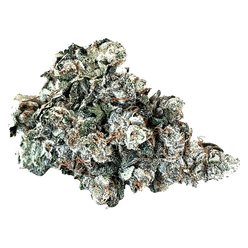 Close-up of the “Larry” bud, showcasing its dense, textured surface with rich green and brown hues.